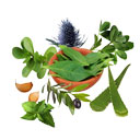 عرق معجون قند خون 1 لیتری کاکوتی