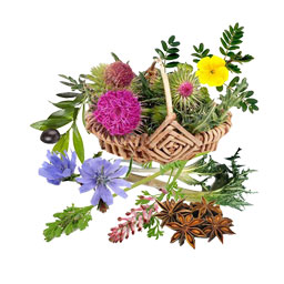 عرق معجون کبد 1 لیتری کاکوتی
