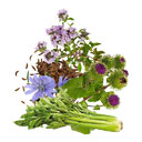 عرق معجون لاغری 1 لیتری کاکوتی