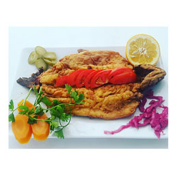 خوراک ماهی جوان