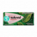 آدامس نعنایی تری دنت