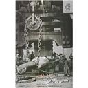 کتاب هستی و آگاهی