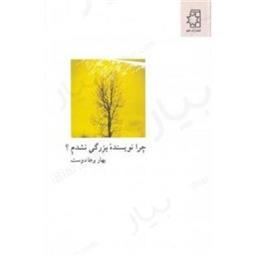 کتاب چرا نویسنده بزرگی نشدم