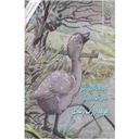 کتاب جوجه اردک زشت