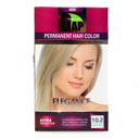 کیت رنگ مو زنانه شماره 10/2 گپ