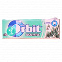 آدامس با طعم اکالیپتوس اربیت