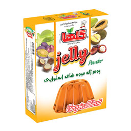 پودر ژله میوه های استوایی 100 گرمی گلها