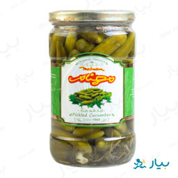 خیار شور 650 گرمی مهنام