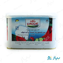 پنیر رسیده در آب نمک 800 گرمی پگاه گلپایگان