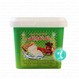 پنیر بلغاری 400 گرمی پگاه گلپایگان