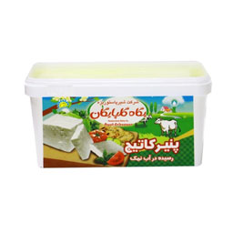 پنیر کاتیج 400 گرمی پگاه گلپایگان