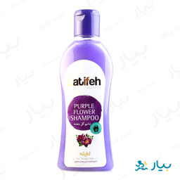 شامپو گل بنفشه خانواده برای موهای معمولی 750 گرمی لطیفه