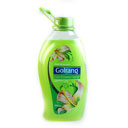 مایع دستشویی صدفی ورژن 2 سبز 2000 گرمی گلرنگ