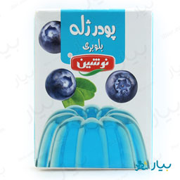 پودر ژله بلوبری 100 گرمی نوشین