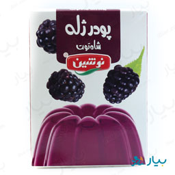 پودر ژله شاه توت 100 گرمی نوشین