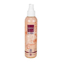 اسپری خوشبو کننده هوا با رایحه هلو 200 میلی‌لیتری سانی