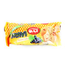 کیک دوقلوی کشمشی 150 گرمی آیدین