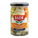 شور مخلوط 630 گرمی بدر