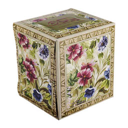 دستمال ماشین طرح پاتریس 2 لایه 100 برگ پاکان