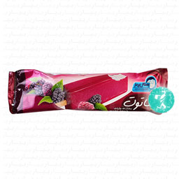 بستنی وانیلی با روکش شاتوت 65 گرمی روز