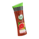 شامپو کراتینه حاوی عصاره های گریپ فروت و نعنا جهت موهای نازک و کم حجم 300 میلی لیتری هرباسنس