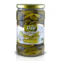 خیارشور ممتاز شیشه 630گرمی بقاء