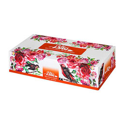 دستمال کاغذی دولایه 100 برگ بی تا