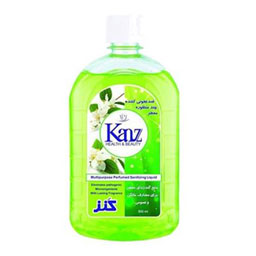 مایع گند زدای معطر سبز برای مصارف خانگی و عمومی 500 میلی لیتری کنز