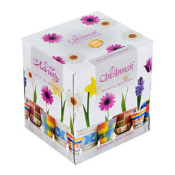 دستمال ماشین گلدان دو لایه 100 برگ چشمک