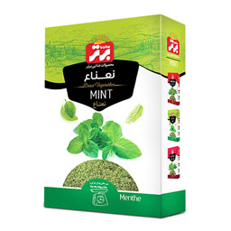 سبزی خشک نعناع 50 گرمی برتر
