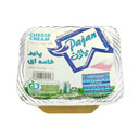 پنیر خامه ای 100 گرمی پاژن