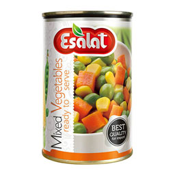 کنسرو مخلوط سبزیجات380g اصالت