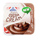 خامه کاکائویی 100 گرمی شکلی