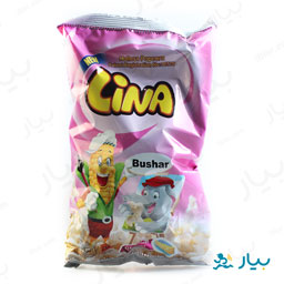 پاپ کورن بدون هسته پنیری خانواده 50گرمی لینا