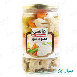 کنسرو مخلوط شور 670گرمی چاشنی