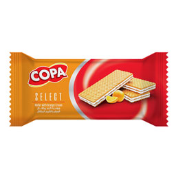 ویفر با کرم پرتقال 45 گرمی کوپا