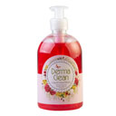 مایع دستشویی عصاره عناب 500 میلی لیتری درماکلین