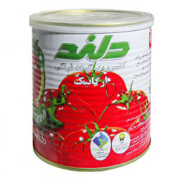 رب گوجه فرنگی قوطی فلزی با در آسان باز شو 1 کیلوگرمی دلند