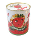 رب گوجه فرنگی 900 گرمی دلند