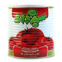 رب گوجه فرنگی 800 گرمی سبزدانه