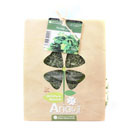 جعفری 100 گرمی آریا