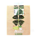 شوید خشک 100 گرمی آریا