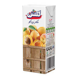 آبمیوه زرد آلو تتراپک 200 میلی گلشن