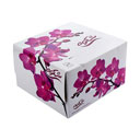 دستمال کاغذی کوکتل اتومبیلی شکوه