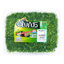 سبزی قورمه خرد شده بسته ای 380 گرمی دکتر بیژن