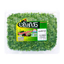 سبزی نعنا و جعفری خرد شده 380 گرمی دکتر بیژن