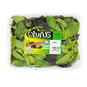 سبزی ریحان 80 گرمی دکتر بیژن