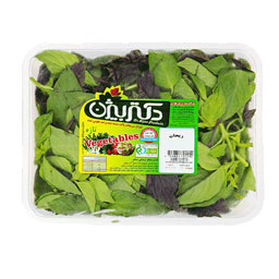 سبزی ریحان 80 گرمی دکتر بیژن