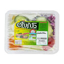 سالاد فصل 100 گرمی دکتر بیژن