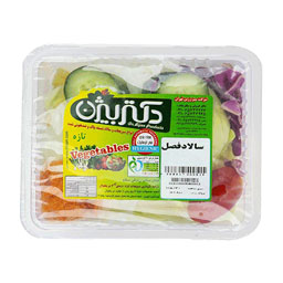 سالاد فصل 100 گرمی دکتر بیژن